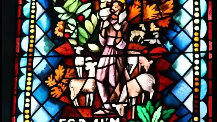Vitrail Ego sum pastor bonus