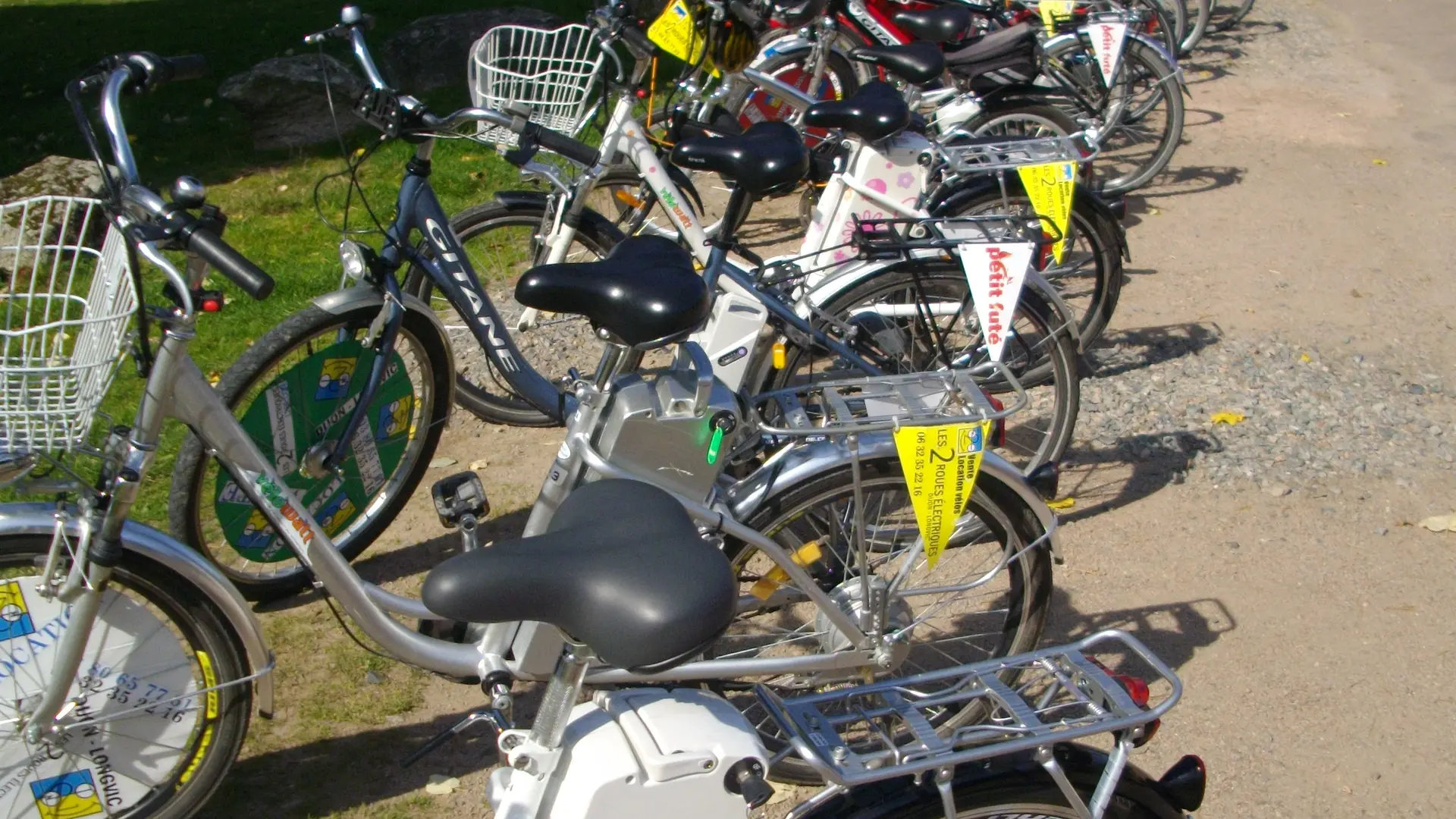 Parc de vélos électriques