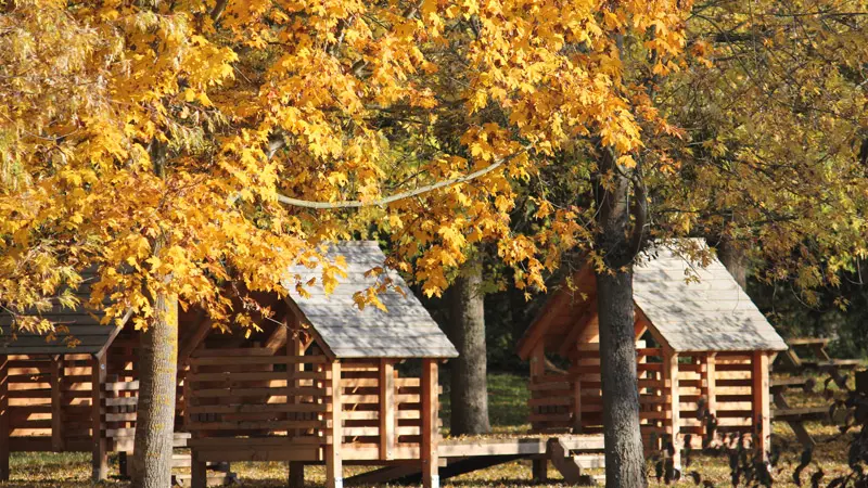 Les Etangs d'Or,  Parc Eco Loisirs de Merceuil Tailly - Jeux d'enfants