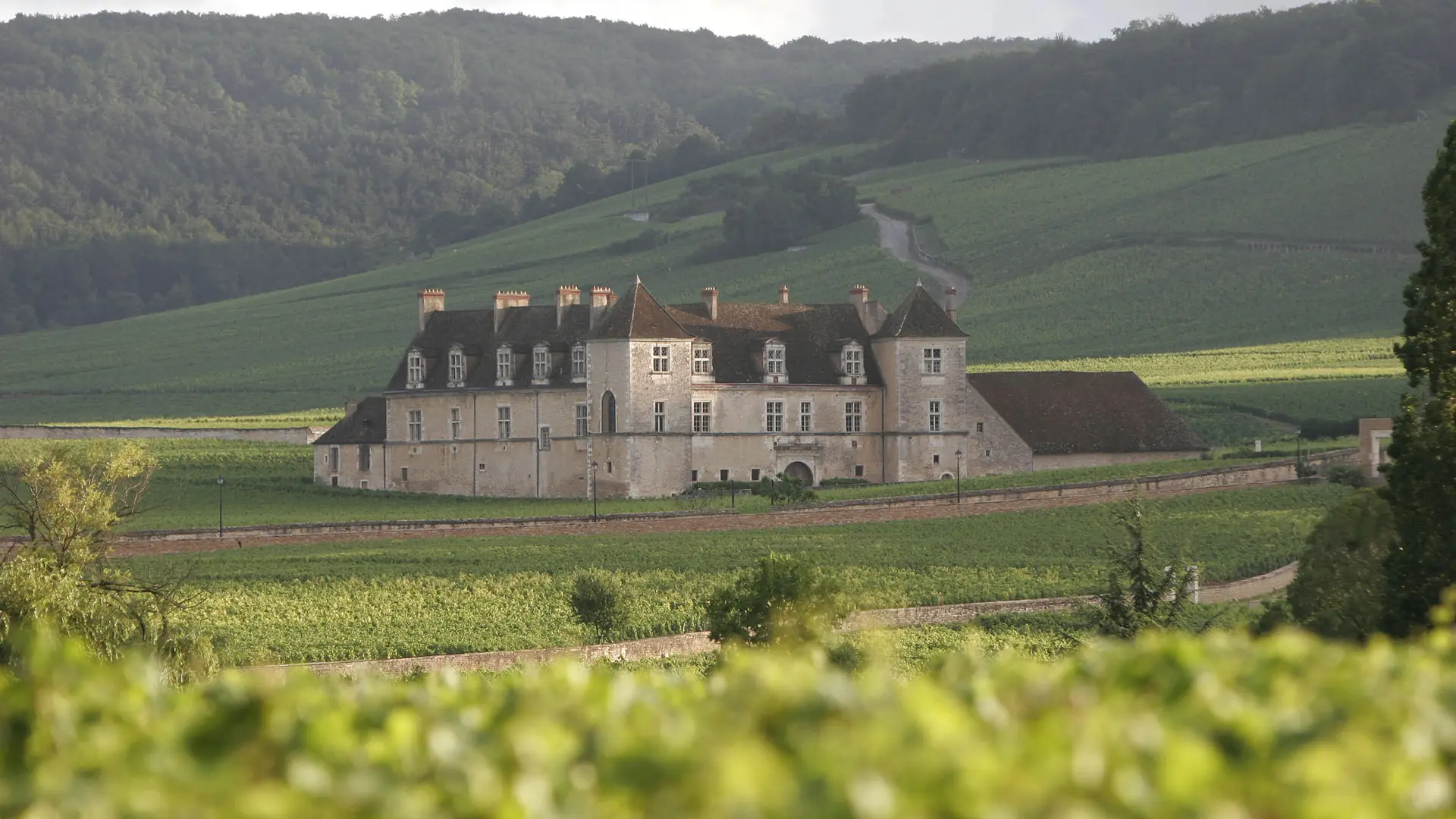 Château du Clos de Vougeot