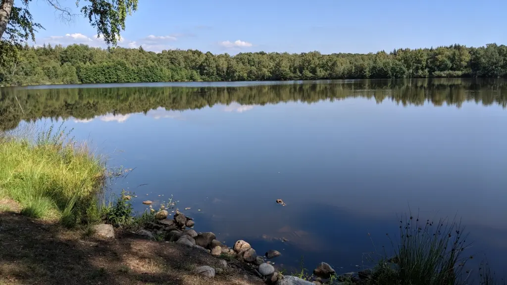 Etang de la Grande Chaussée