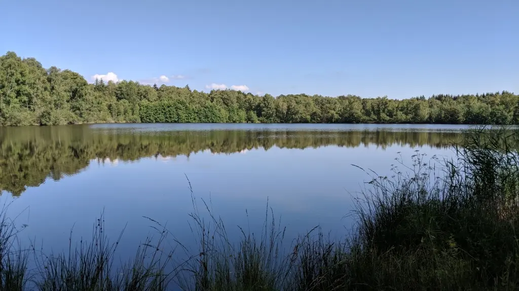 Etang de la Grande Chaussée