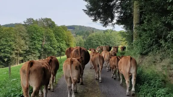 La Ferme du Breuillet4