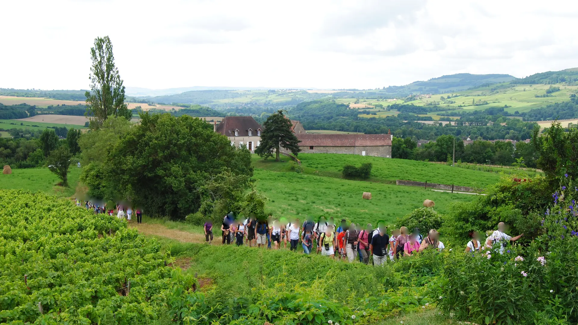 Groupe dans les vignes