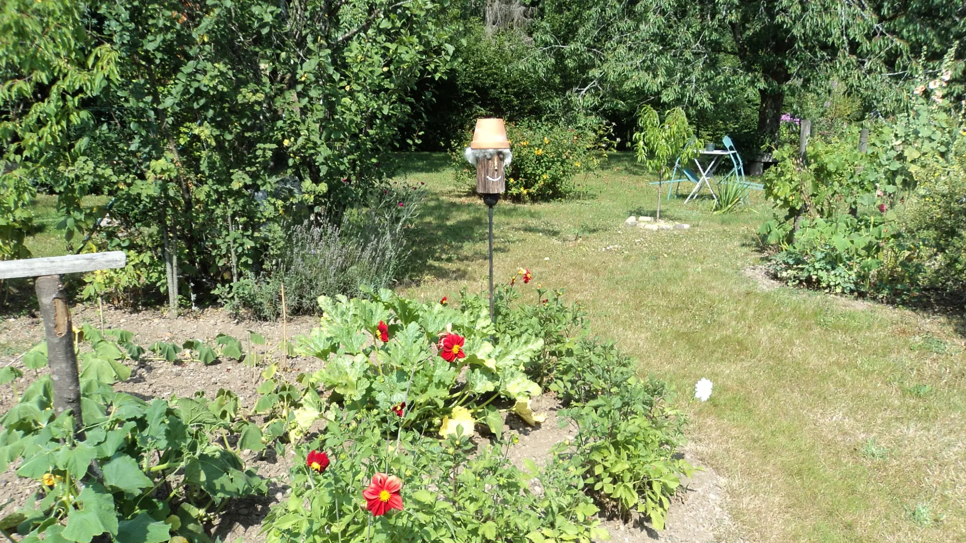 Gîte Alice - jardin