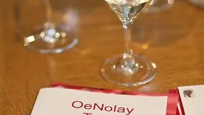 7604-OT-NOLAY100113027