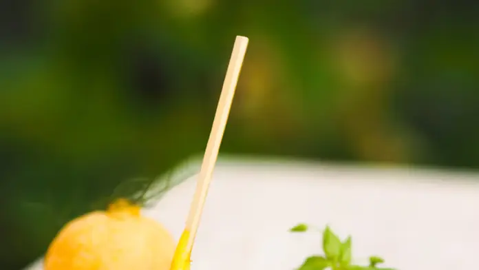 Maison des Cariatides