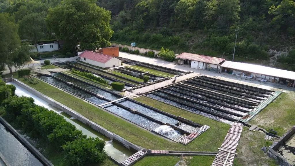 FERME AQUACOLE DE CRISENON