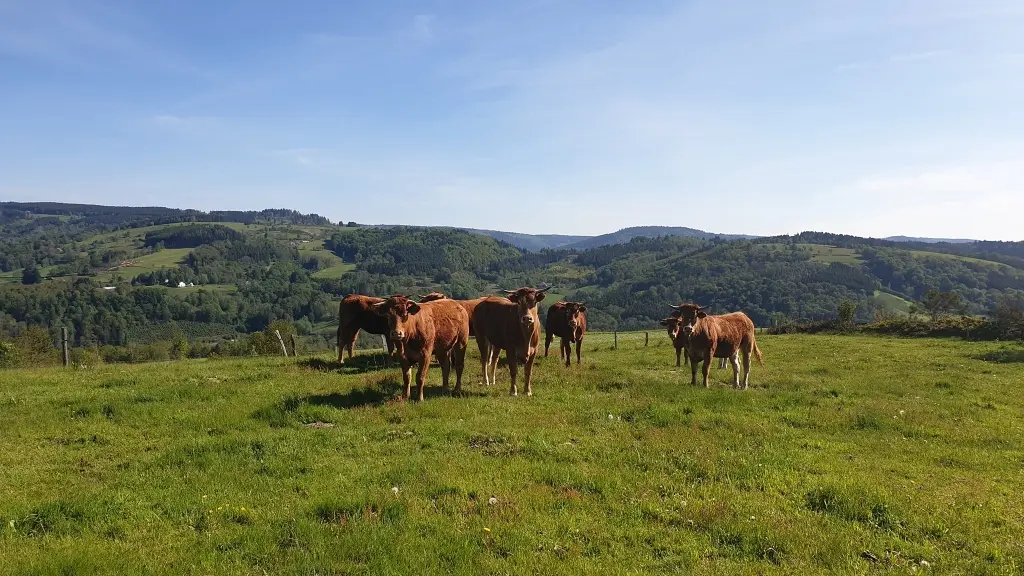 La Ferme du Breuillet2