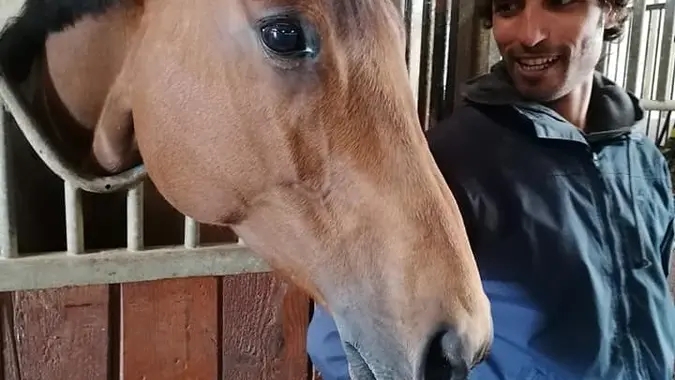 Haras du Val des Charmes