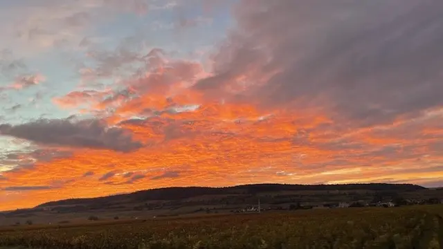 COUCHER DE SOLEIL DANS LES MARANGES