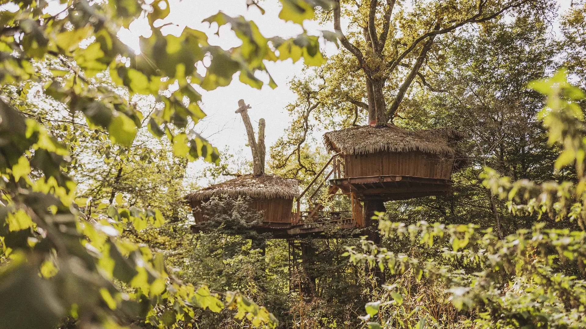 CABANE HERONNIERE - COUCOO GRANDS LACS @pierrebaëlen (5)