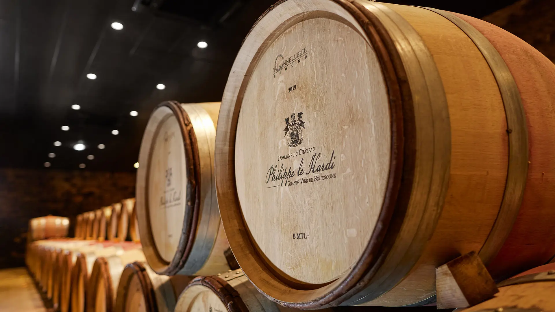 CHAT_P_LE_HARDI_111 (1)