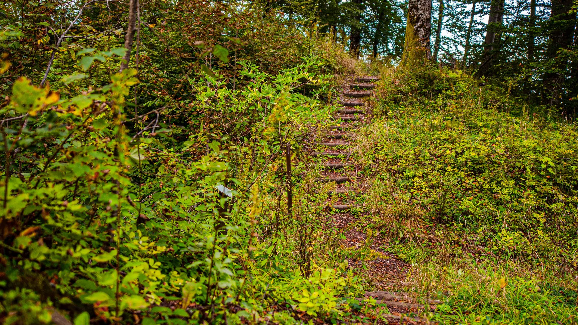 Ruines du Château d'Etobon