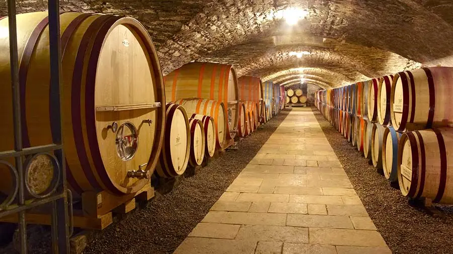 Caves du Château de Chassagne