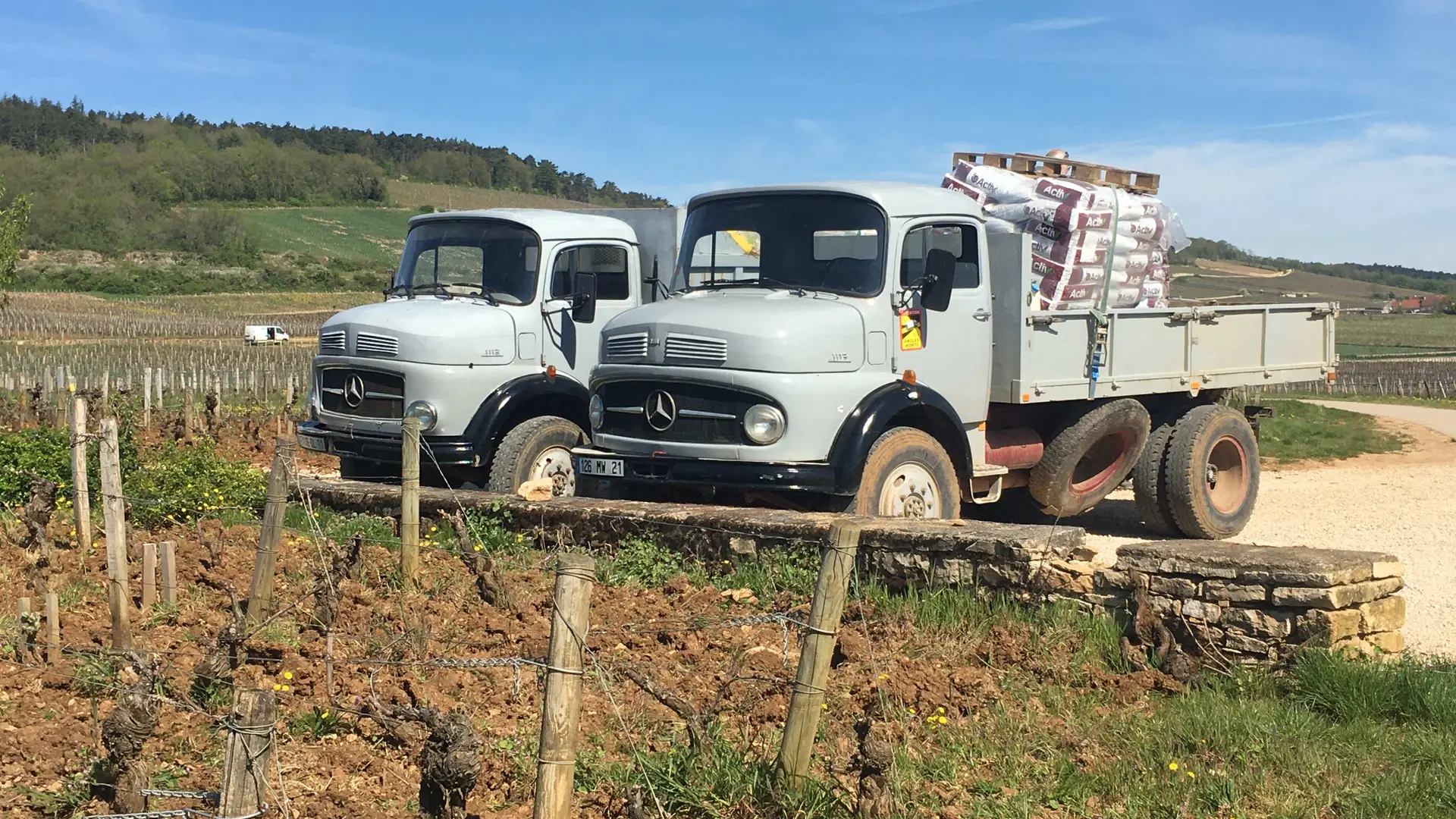 Camion époque 1945 Domaine viticole Bourgogne 2024 (3)