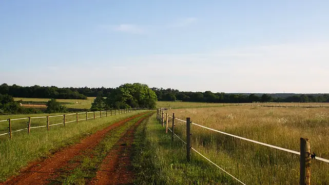 Randonnée Mountain Farm