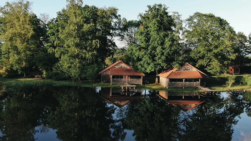 Capture d'écran 2024-03-12 141416