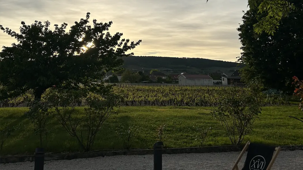 Capture d’écran 2024-12-16 à 14.41.44