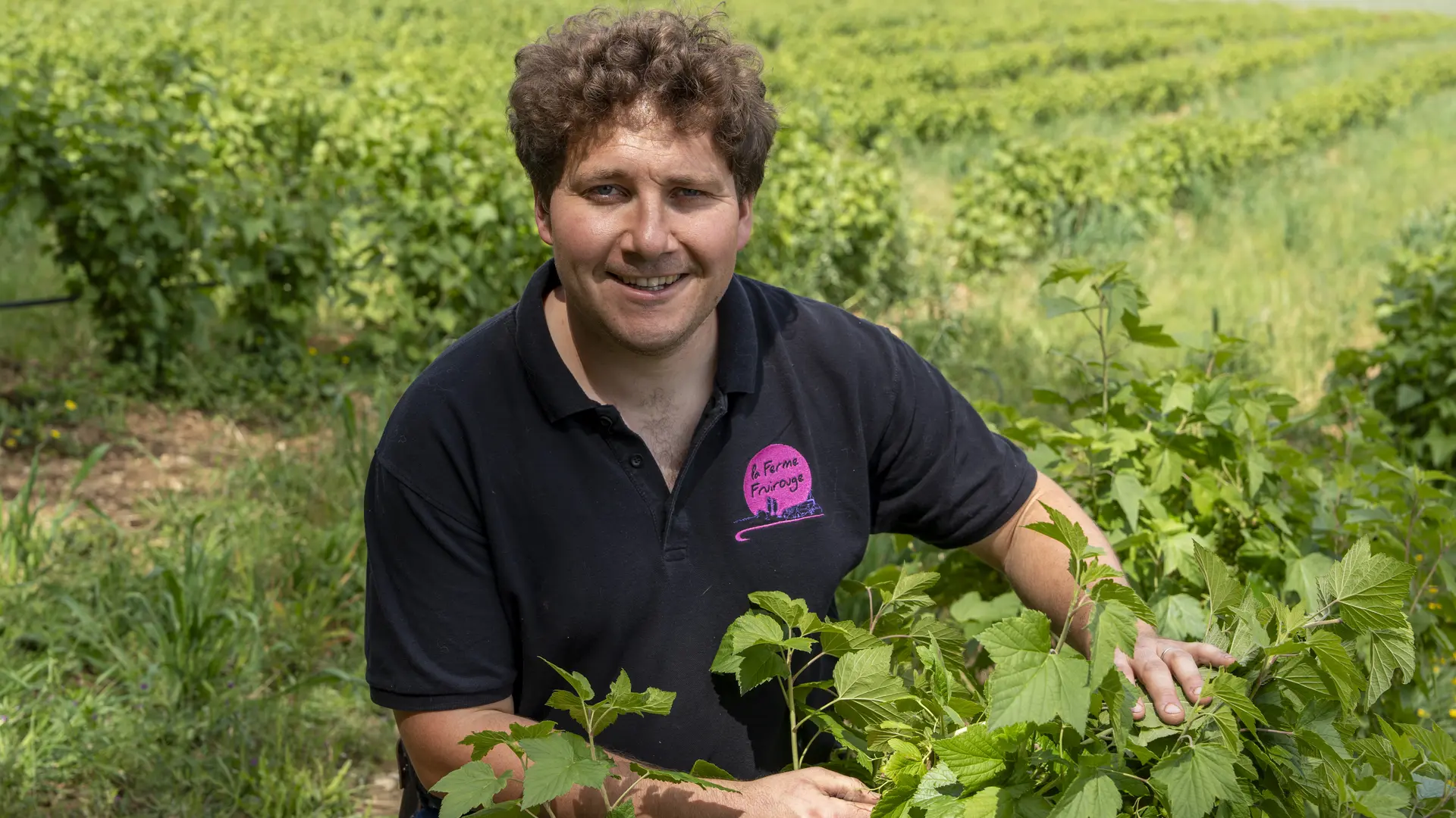 Cassis de Bourgogne Fruirouge les vergers