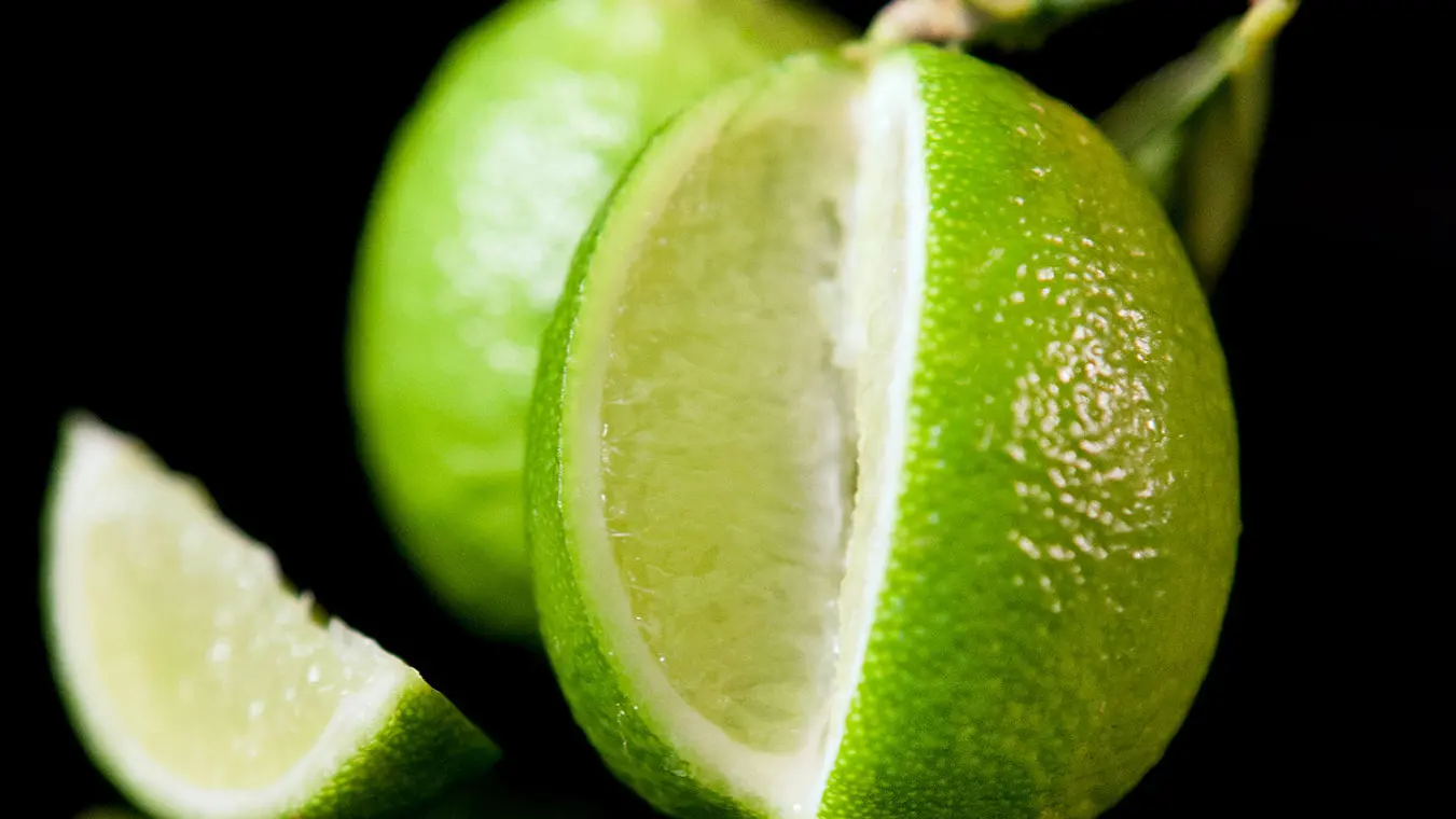 IMG_Agrumes_Lime perse