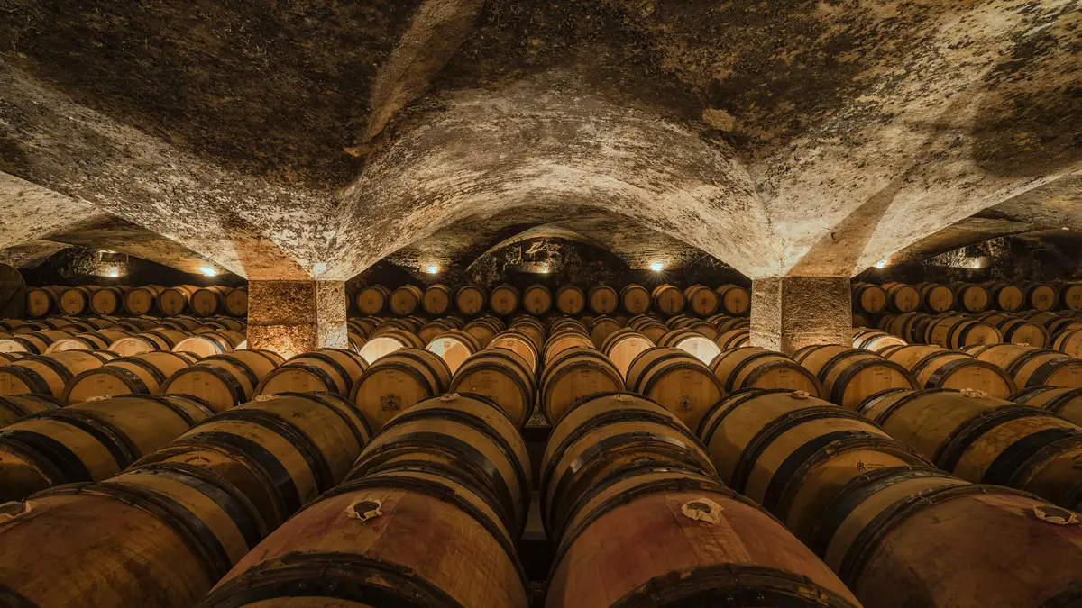 Château de Meursault - Caves 02