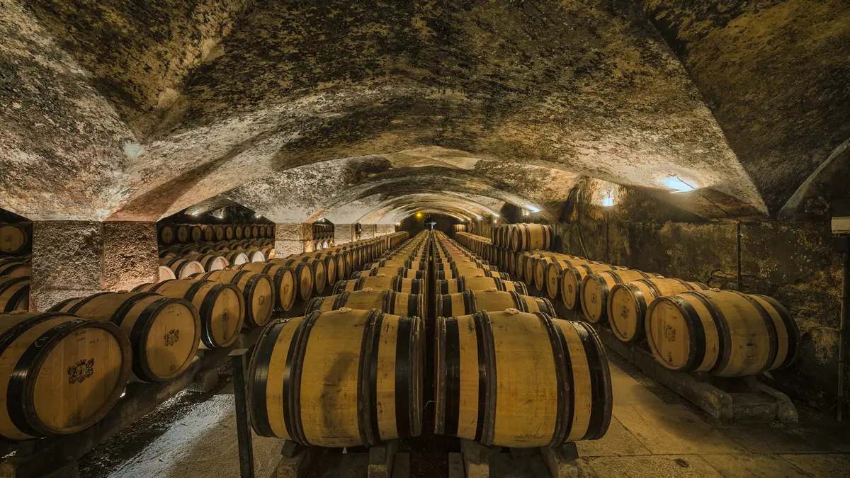 Château de Meursault - Caves