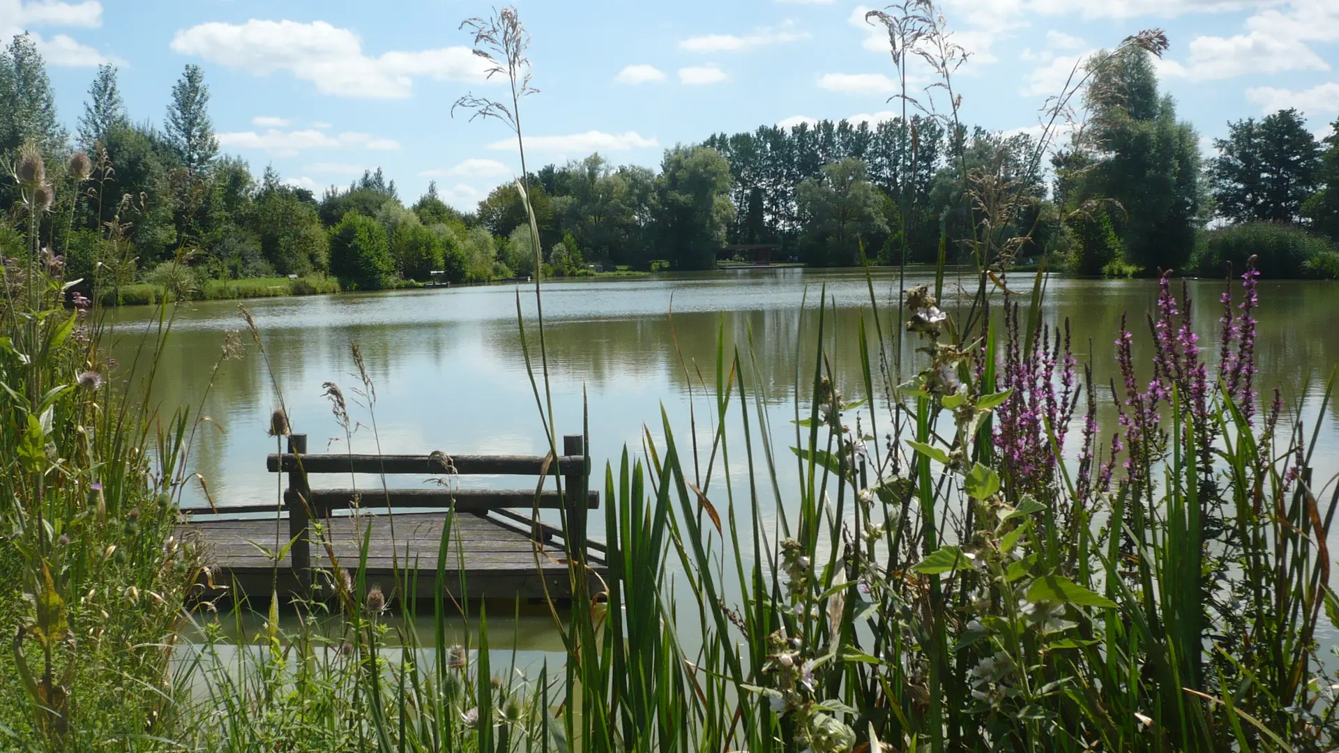 Châtenoy le Royal - Etang Chaumont - Crédit Mairie - 2018