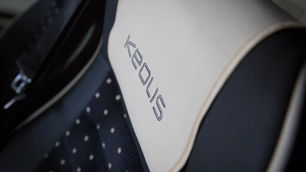 Chatenoy-le-Royal---Keolis---2018--2--2