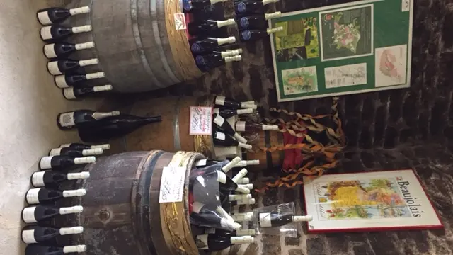 Cheilly les Maranges - Cave de Cheilly - 2017 (10)