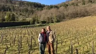Santenay