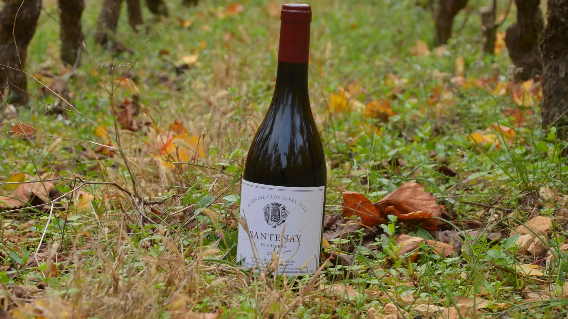 Cheilly les Maranges - Domaine Clos Saint Jean - Vins - Dégustation - Oenotourisme  (3)