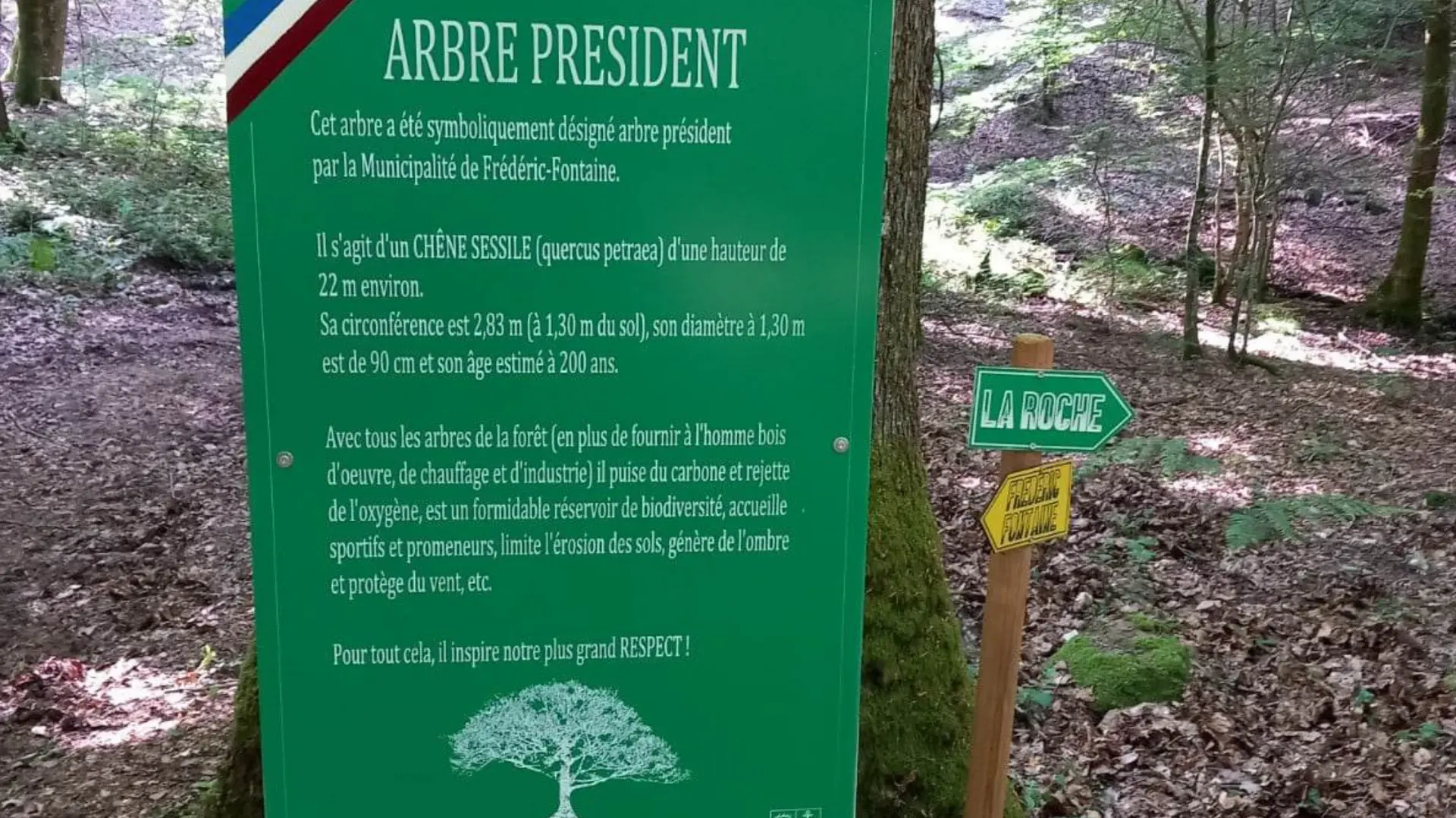 photos la roche - Chêne Président