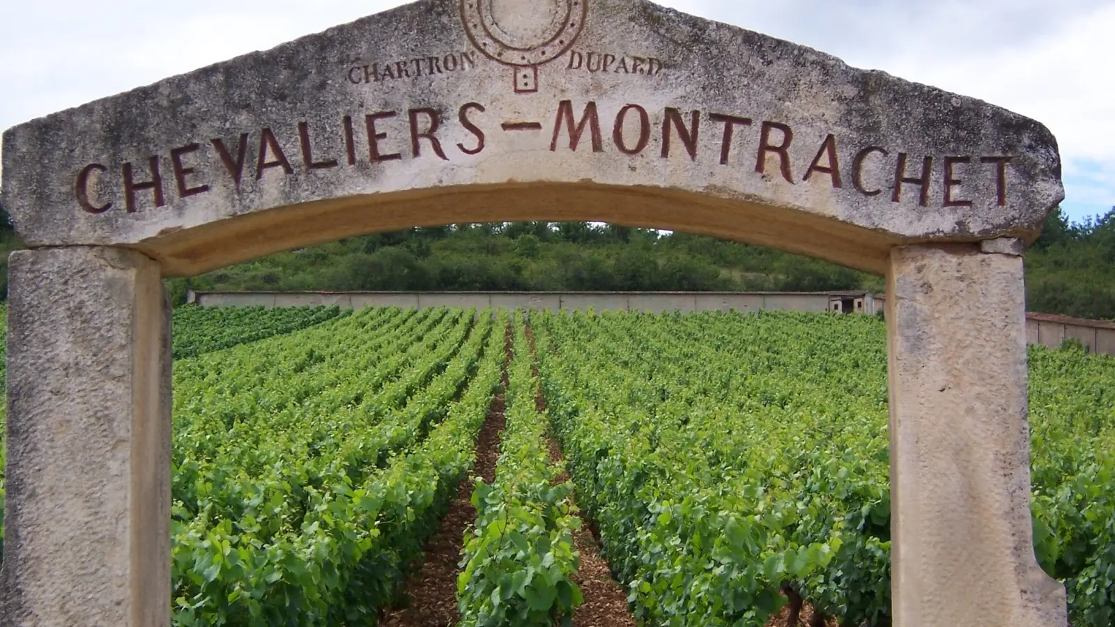 Chevalier-Montrachet