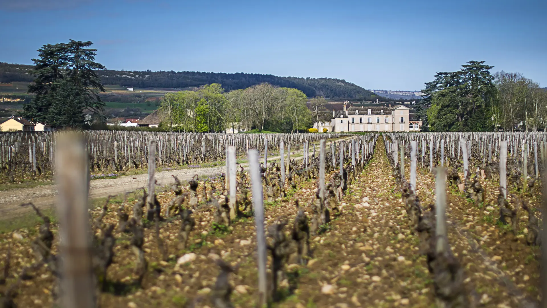 Clos du Chateau