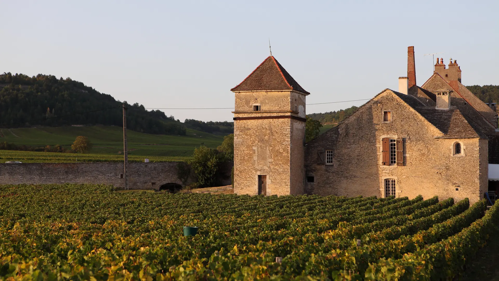 Clos du Moulin Aux Moines