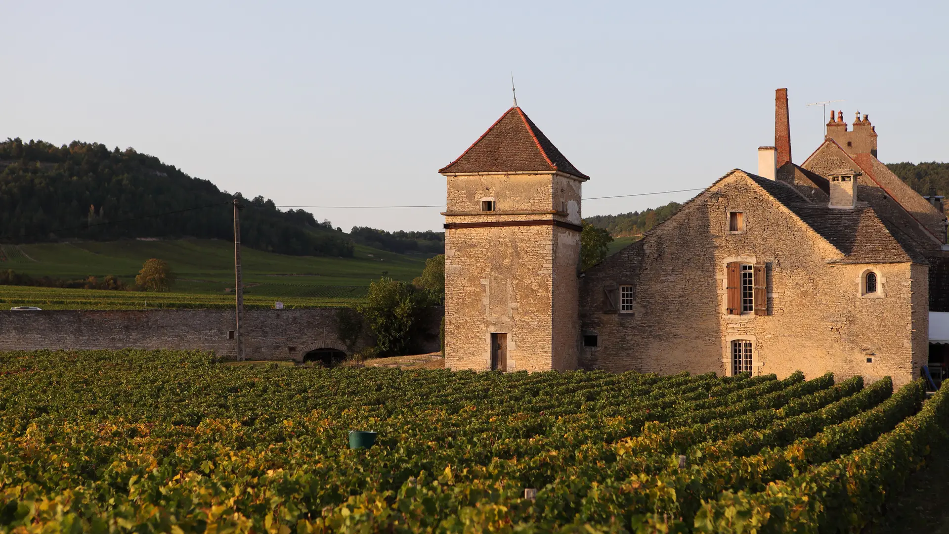 Clos-du-Moulin-Aux-Moines-2-retaille