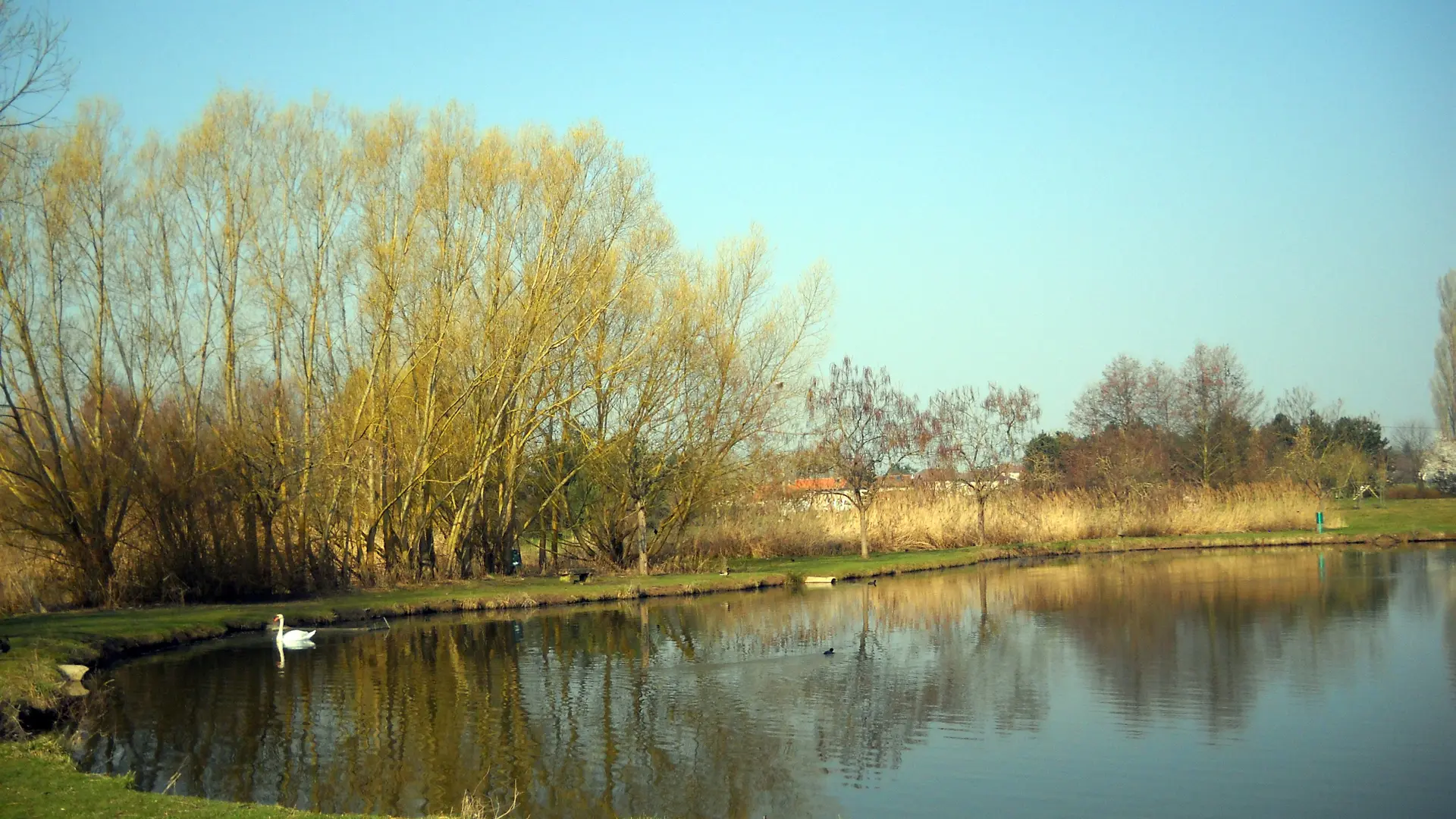 Crissey - Lac - 2021 (1)