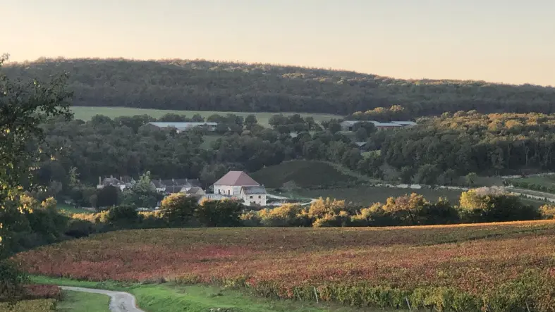 AUBIGNY - Vue de Mercurey