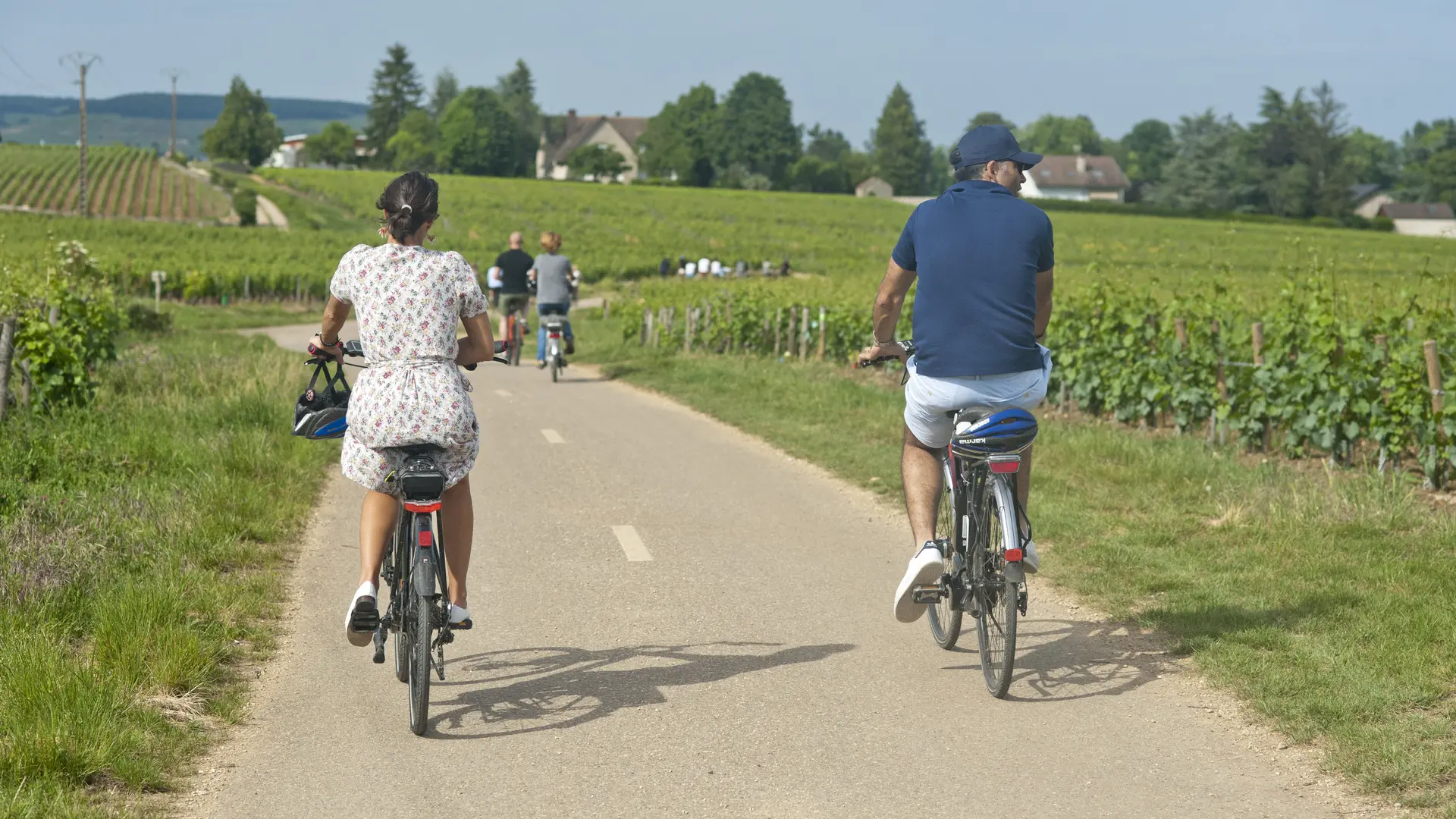 Velo et vignoble