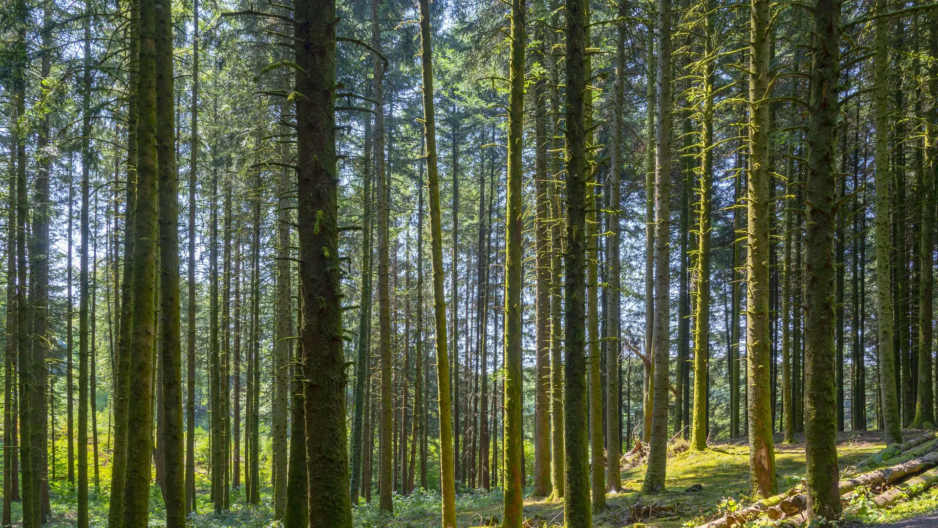 Alain_DOIRE__BFC_Tourisme-BFC_0015067