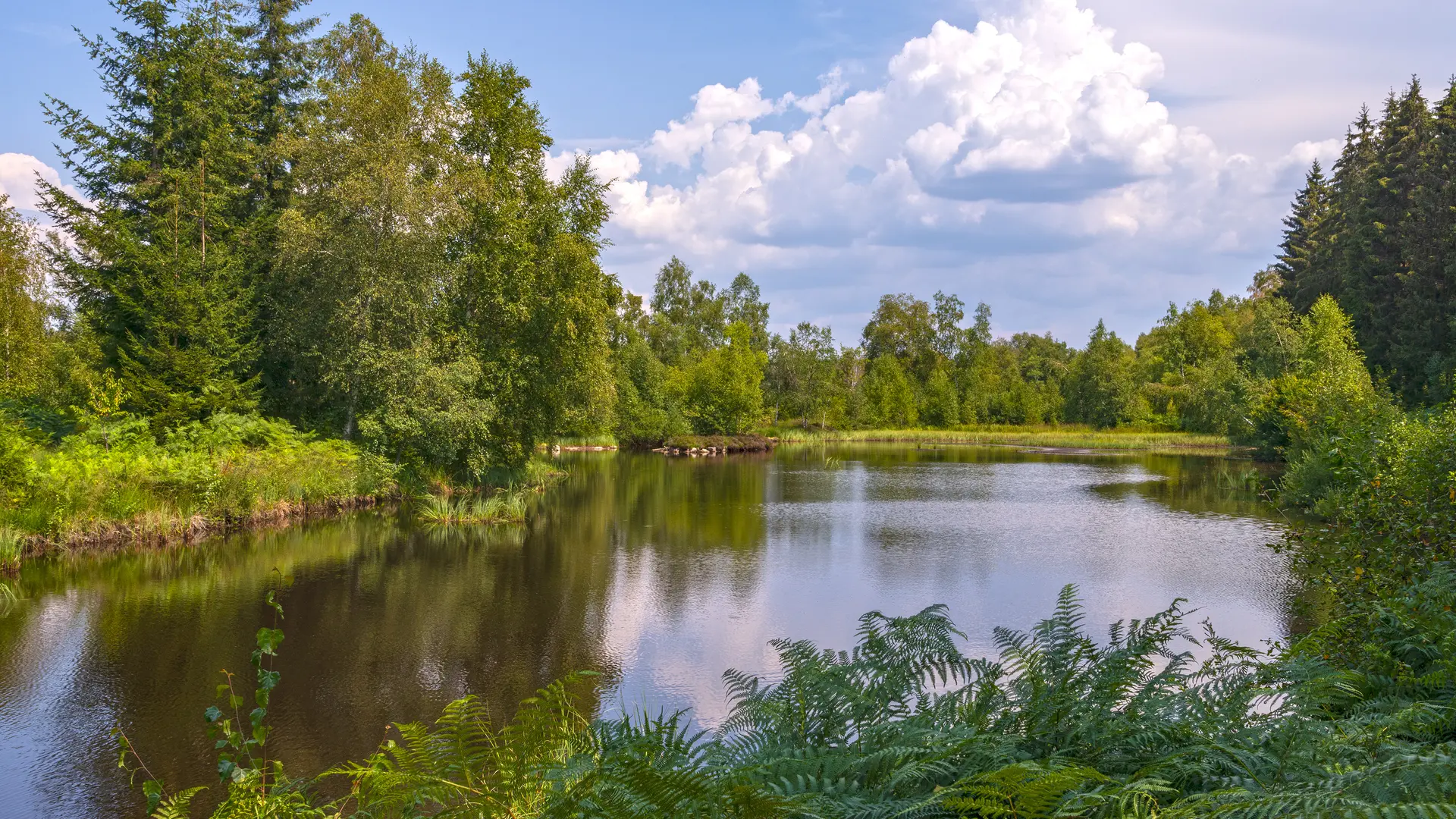 Alain_DOIRE__BFC_Tourisme-BFC_0015079