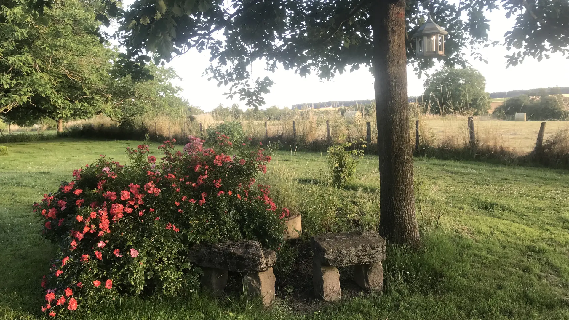 Allerey sur Saône - Les Prés d'Allerey - MT - Hébergement - 2023 (18)