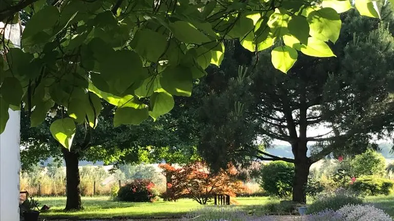Allerey sur Saône - Les Prés d'Allerey - MT - Hébergement - 2023 (2)