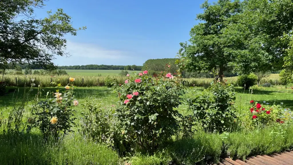 Allerey sur Saône - Les Prés d'Allerey - MT - Hébergement - 2023 (6)