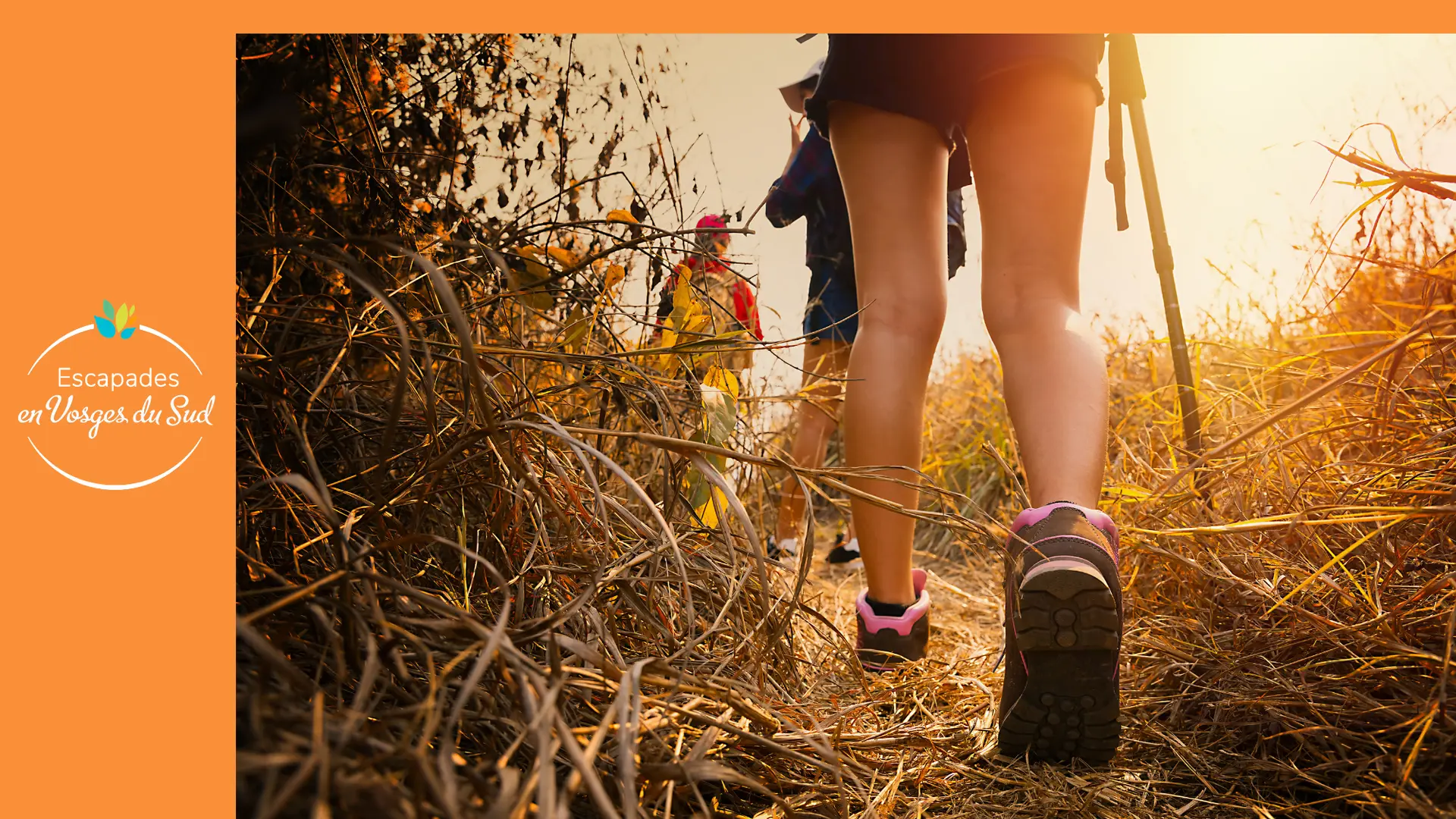 FICHE RANDO DDATA màj 2024 MAI - Localisation Sentier ART et HISTOIRE