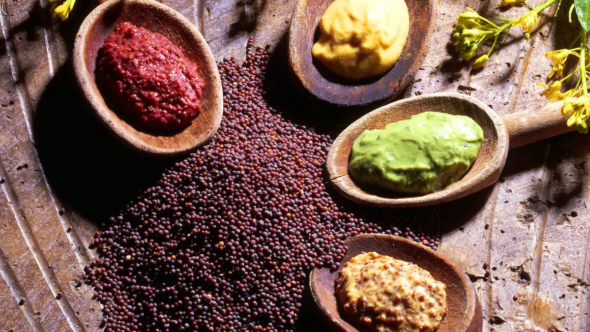 Atelier Moutarde - 4 moutardes