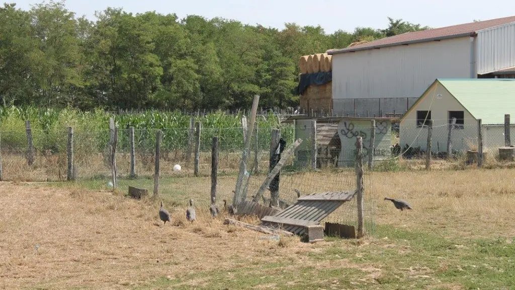 Aux Delices de nos Campagnes_2261
