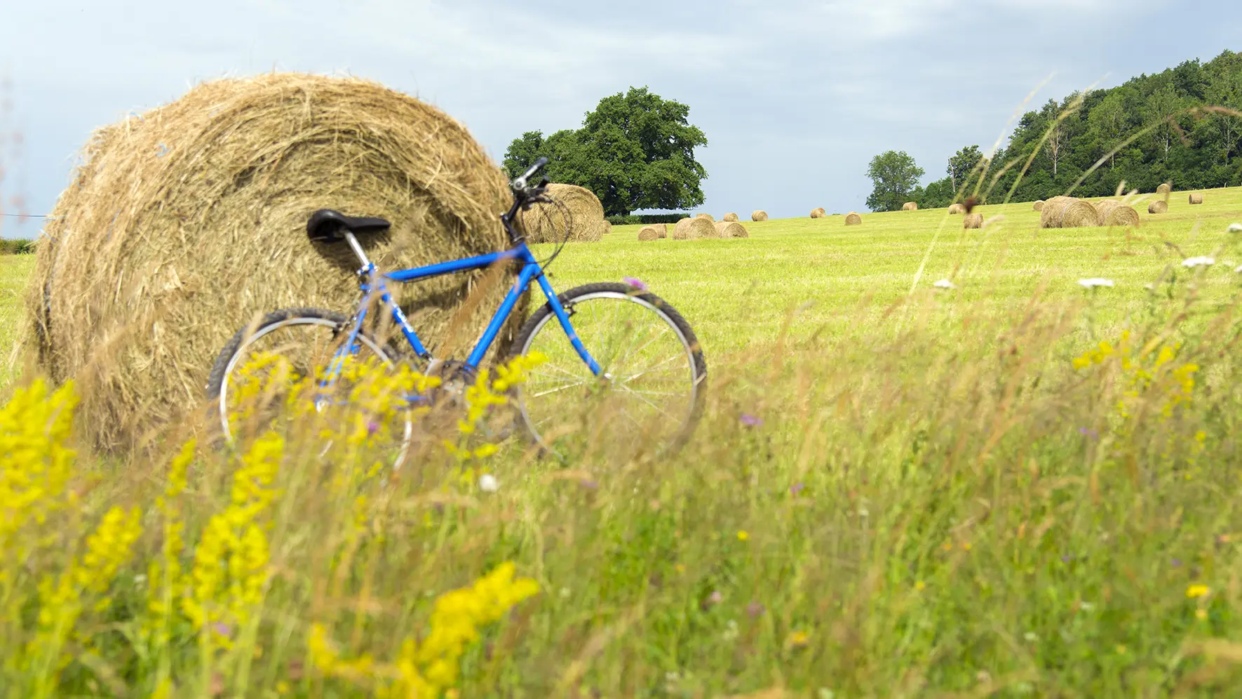 BFC-0009668_Héritour