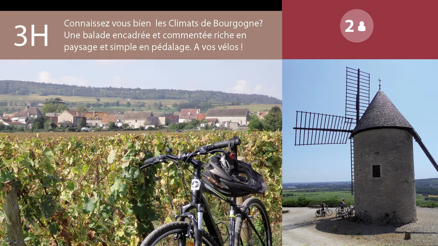 balade-oenologique-velovitamine